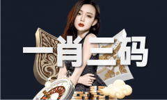 精准36码大包抄
